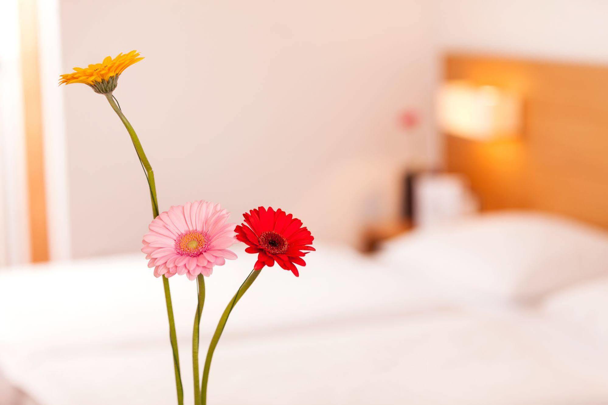 Hotel.Pension.Golingen Golling an der Salzach Eksteriør bilde